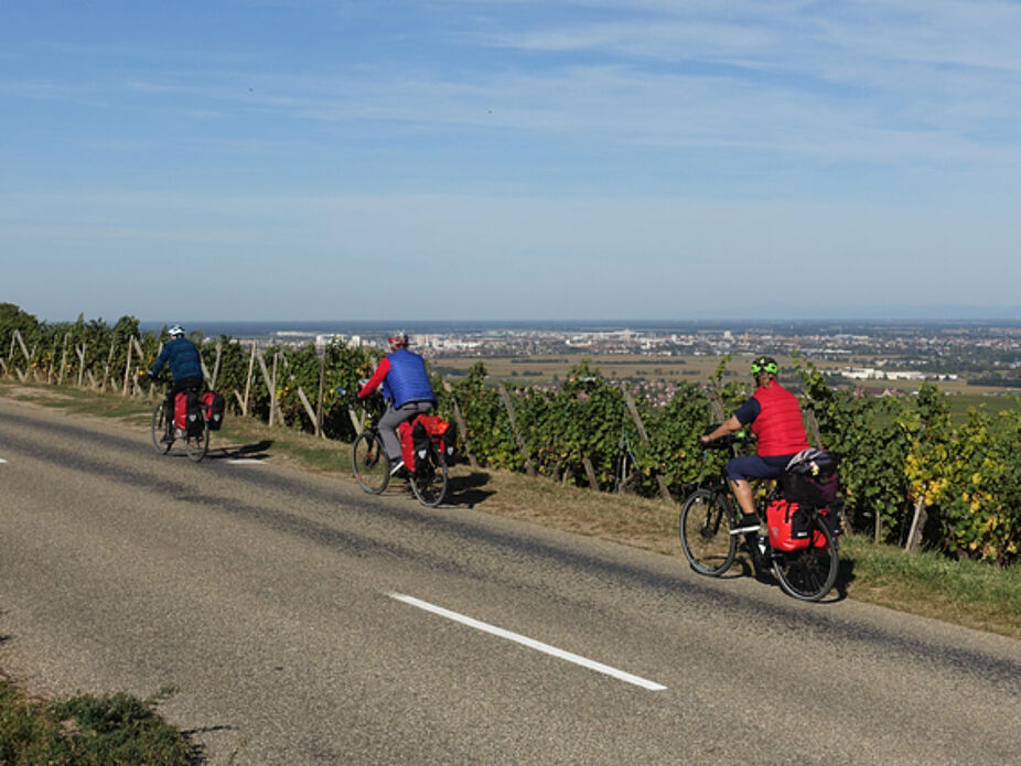 Immer leicht bergauf und bergab mit schönen Aussichten auf die Rheinebene